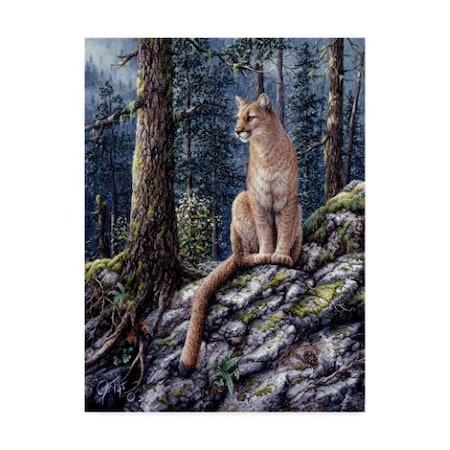 Jeff Tift 'King Of The Forest' Canvas Art,24x32